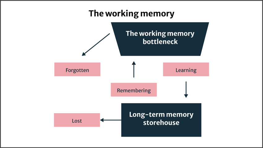 Image of depicting the working memory process